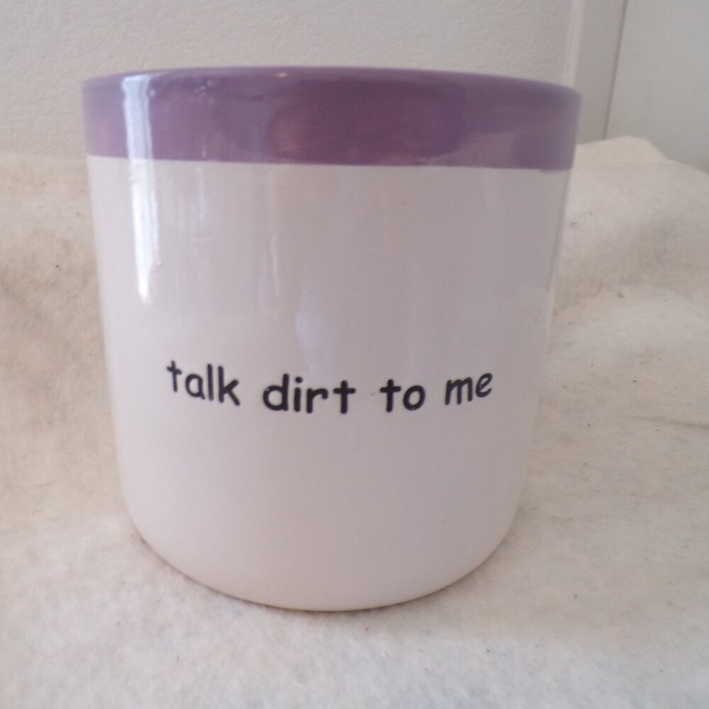 BELAVI Decorative Planter Flower Pot Stonewear NEW 6" talk dirt to me